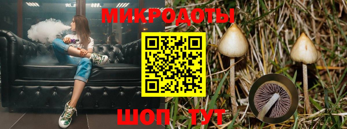 Галлюциногенные грибы мицелий  Вход с VPN  купить  цена  Тула 