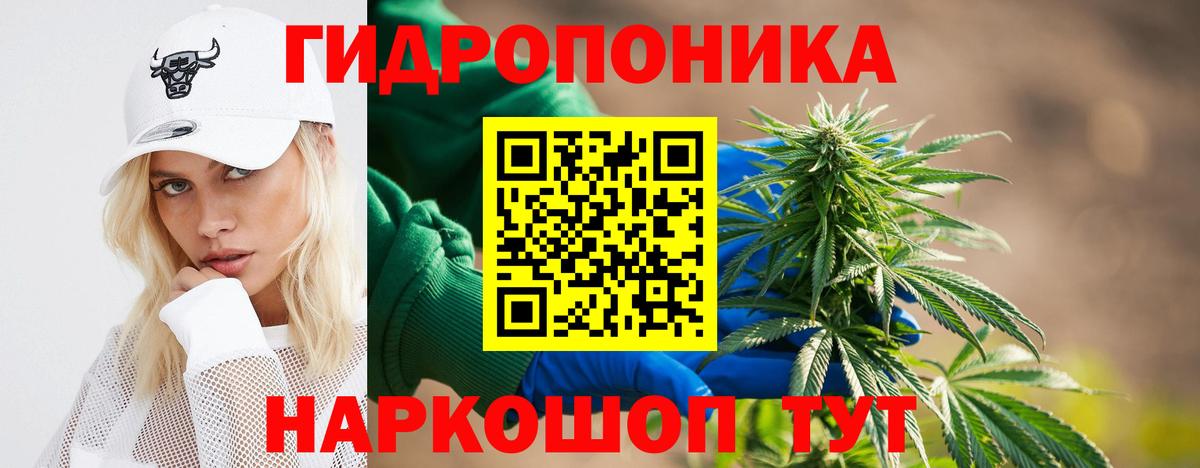 Шишки марихуана планчик  Вход с VPN  Тула  МАРИХУАНА VHQ 